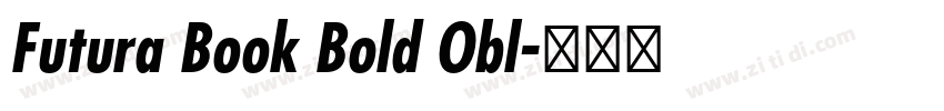 Futura Book Bold Obl字体转换